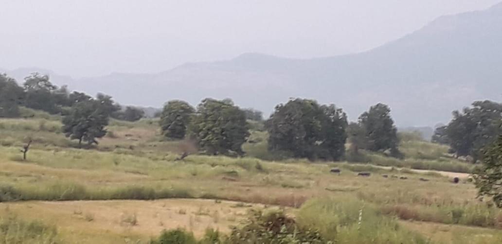 Karjat Mountain Villa Extérieur photo